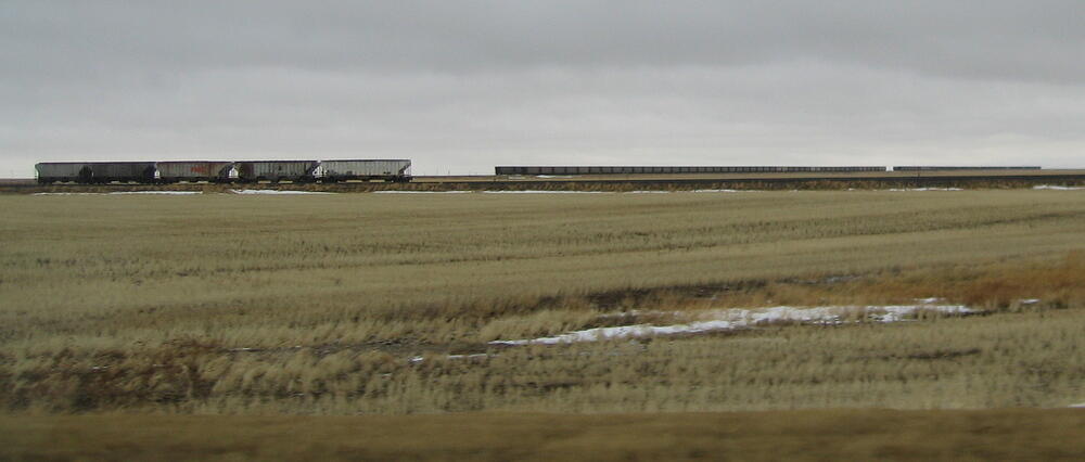 Cattle Cars