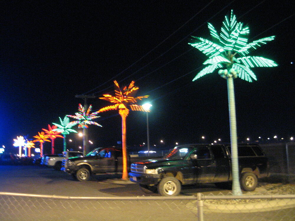 LED Trees - Billings, MT