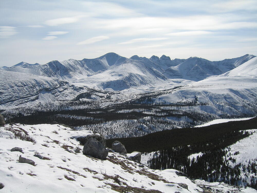 IMG_0037.JPG