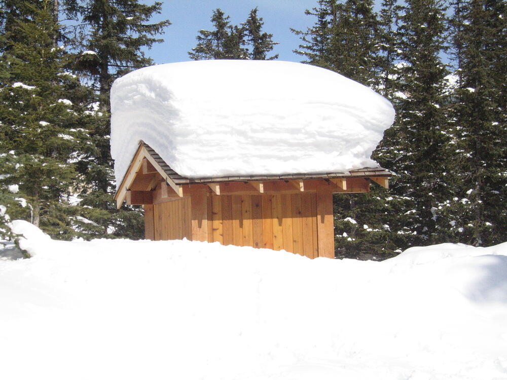 Snow - Lake Louise