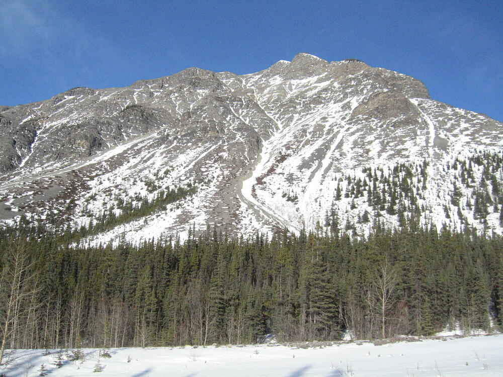 IMG_0121.JPG