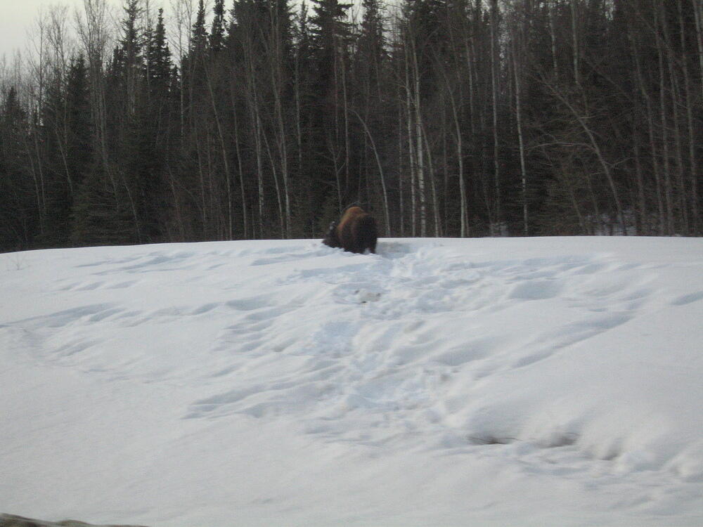 IMG_0178.JPG