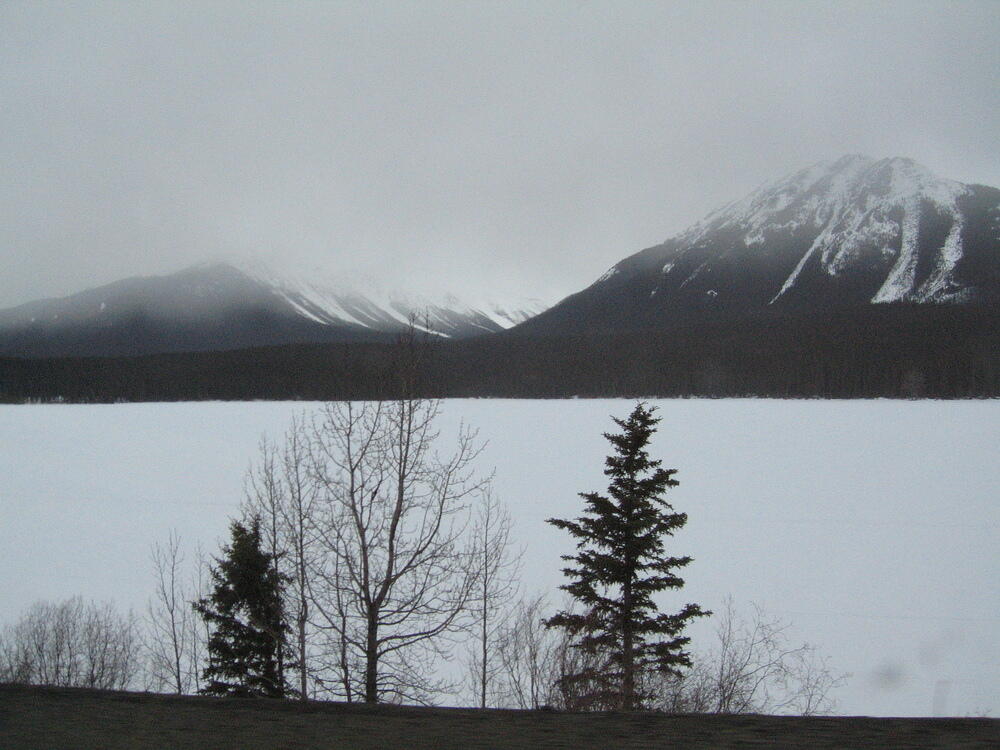 IMG_0183.JPG