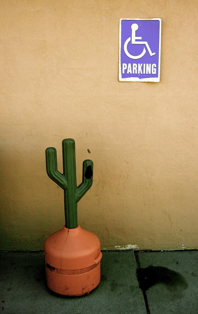 Cactus