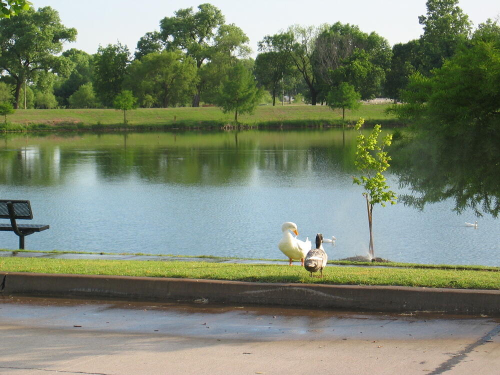 img_0002.jpg