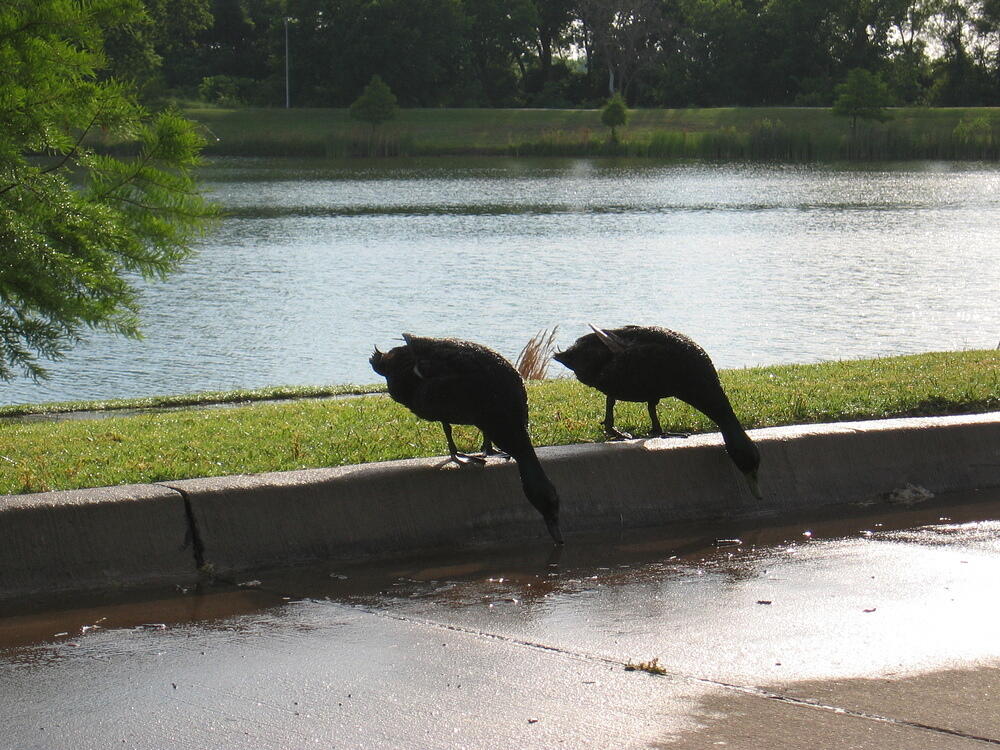 img_0015.jpg