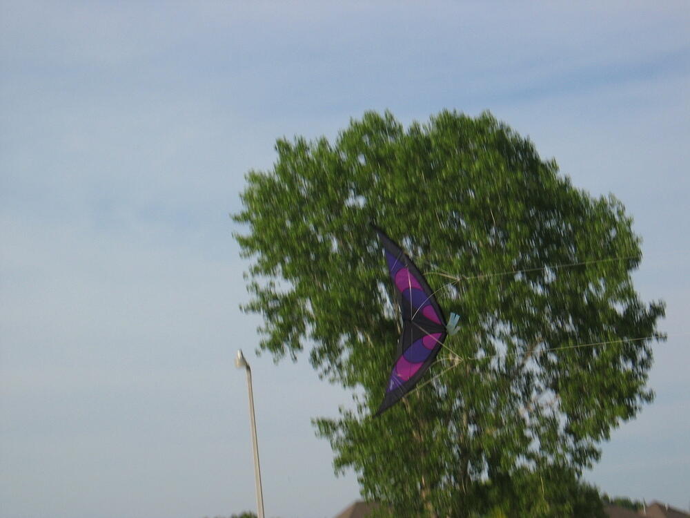 img_0019.jpg