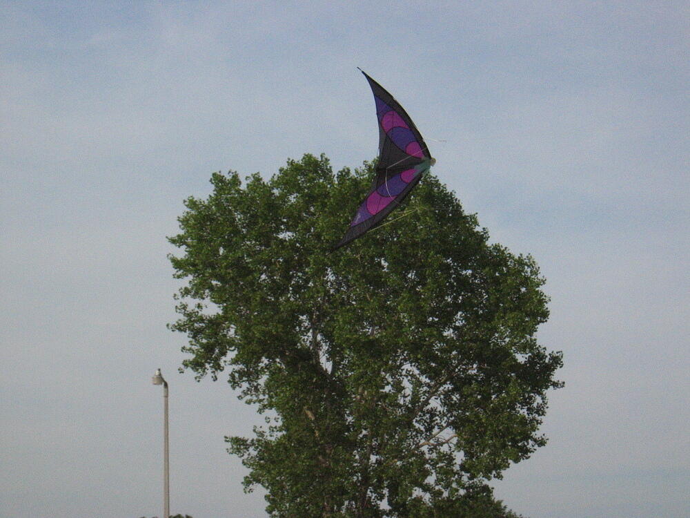 img_0051.jpg