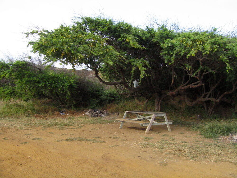 Bench