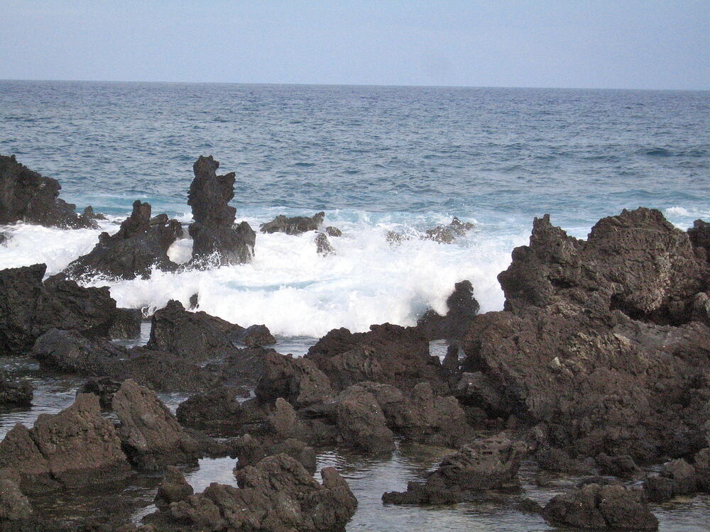 Surf