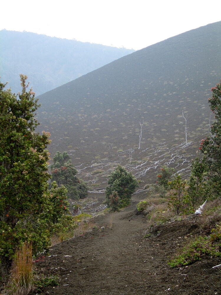 Crater Wall