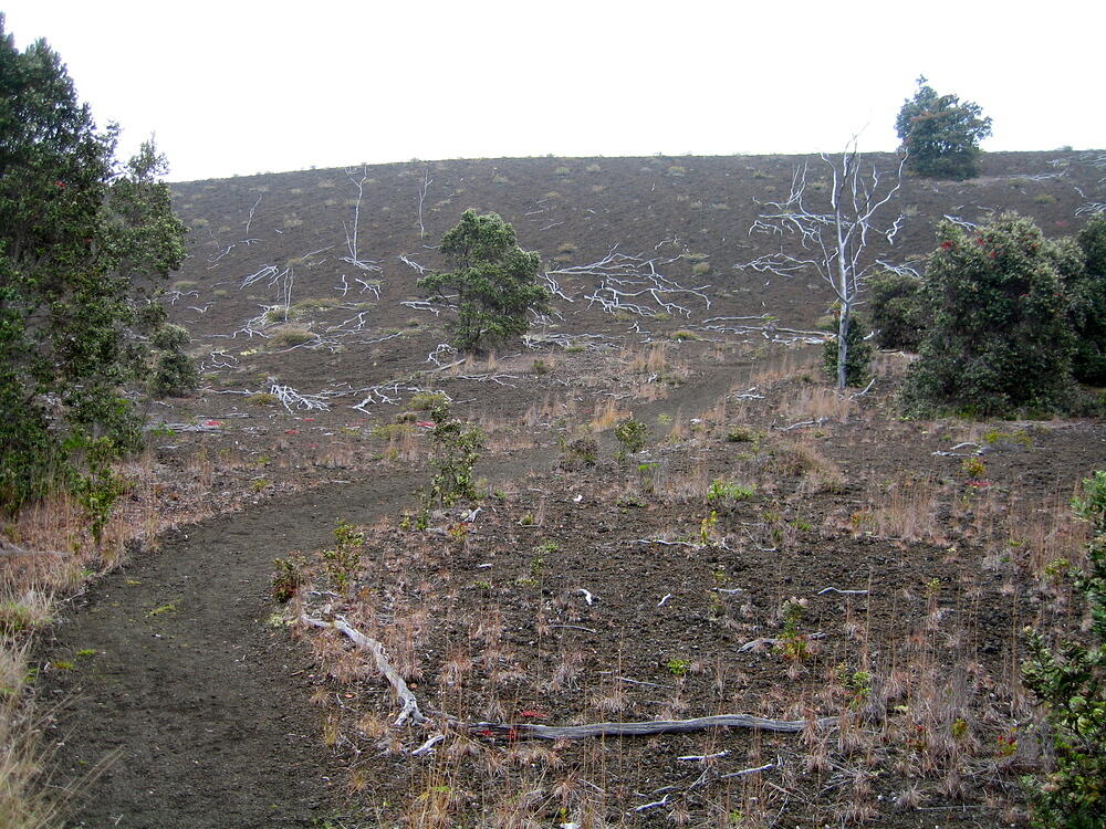 Crater Trail
