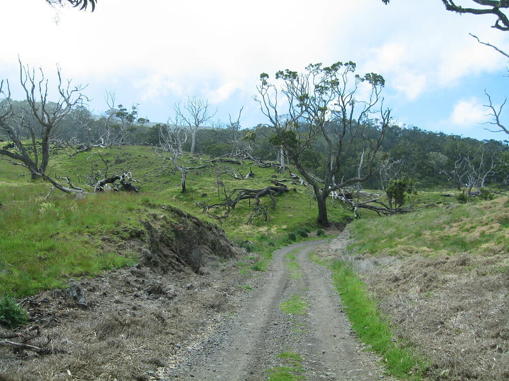 Off-Roading