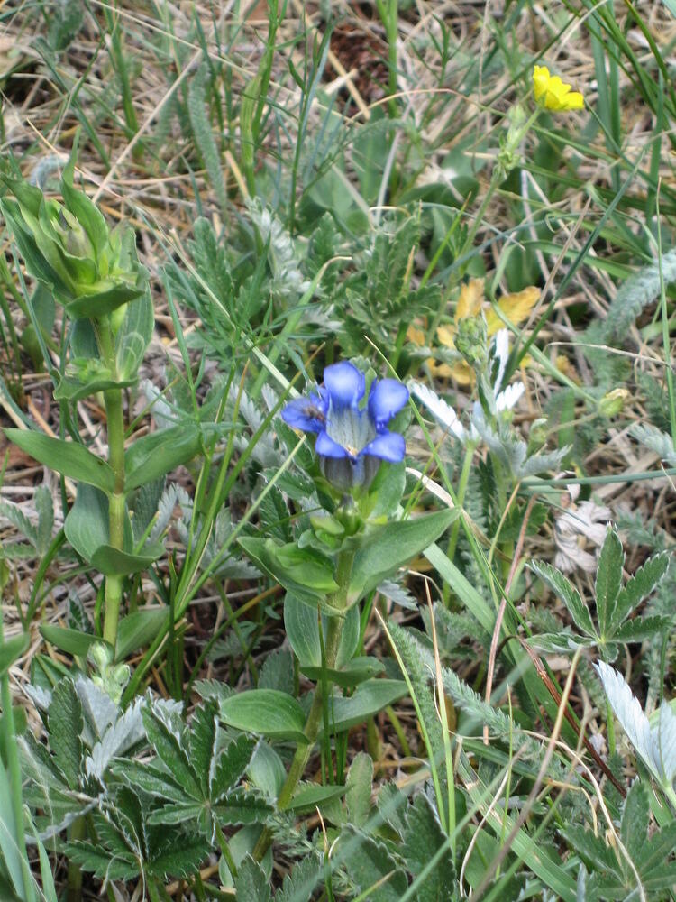 IMG_0022.JPG