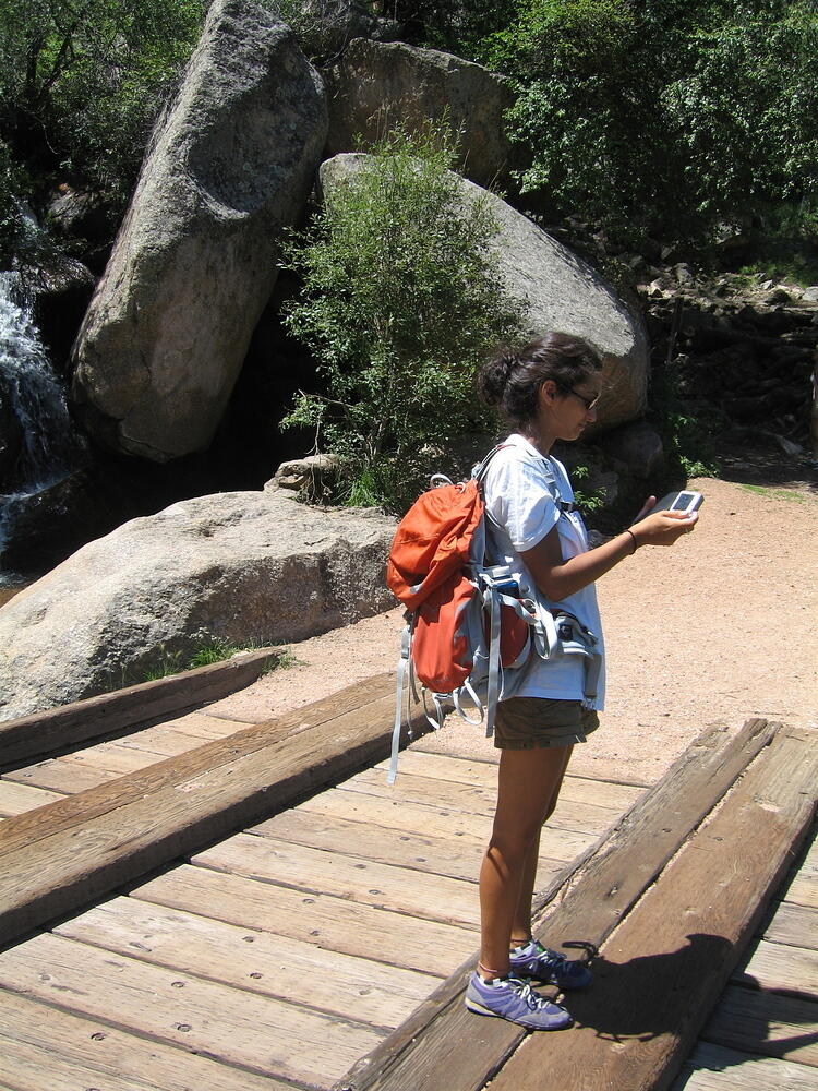 Bridge