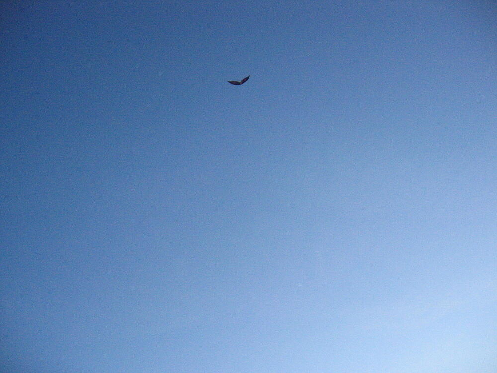 img_0053.jpg