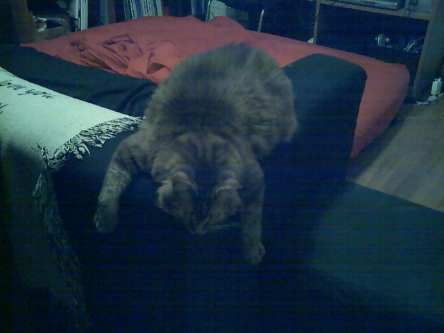 Killer (asleep)
