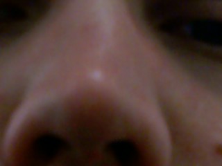 Nose