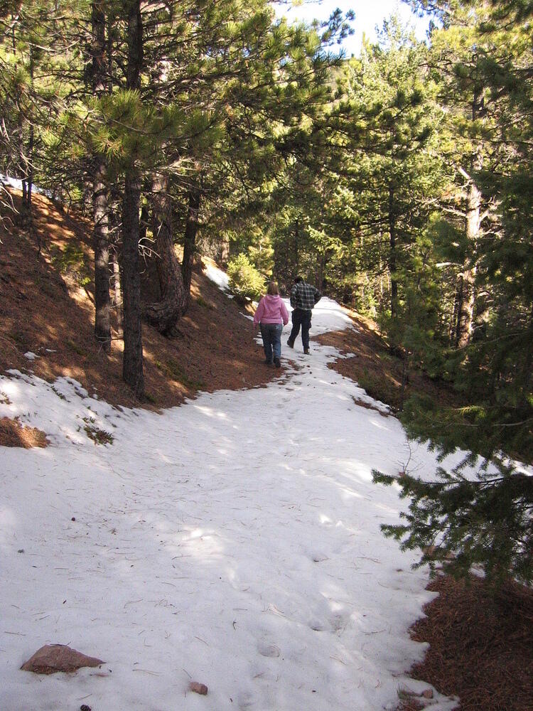 img_0021.jpg