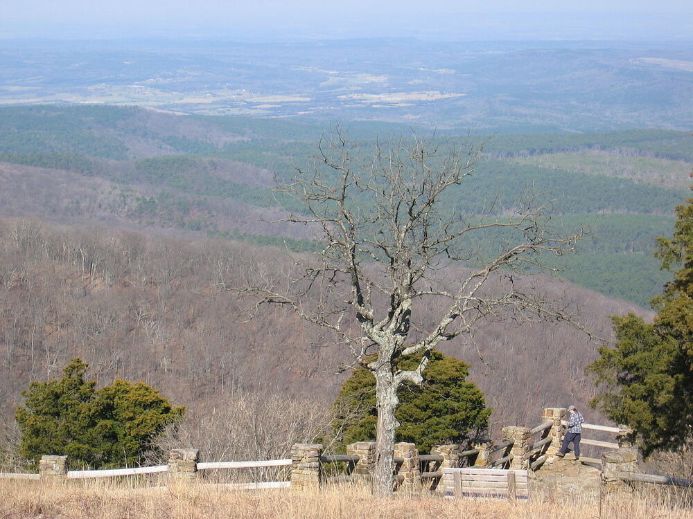 img_0008.jpg