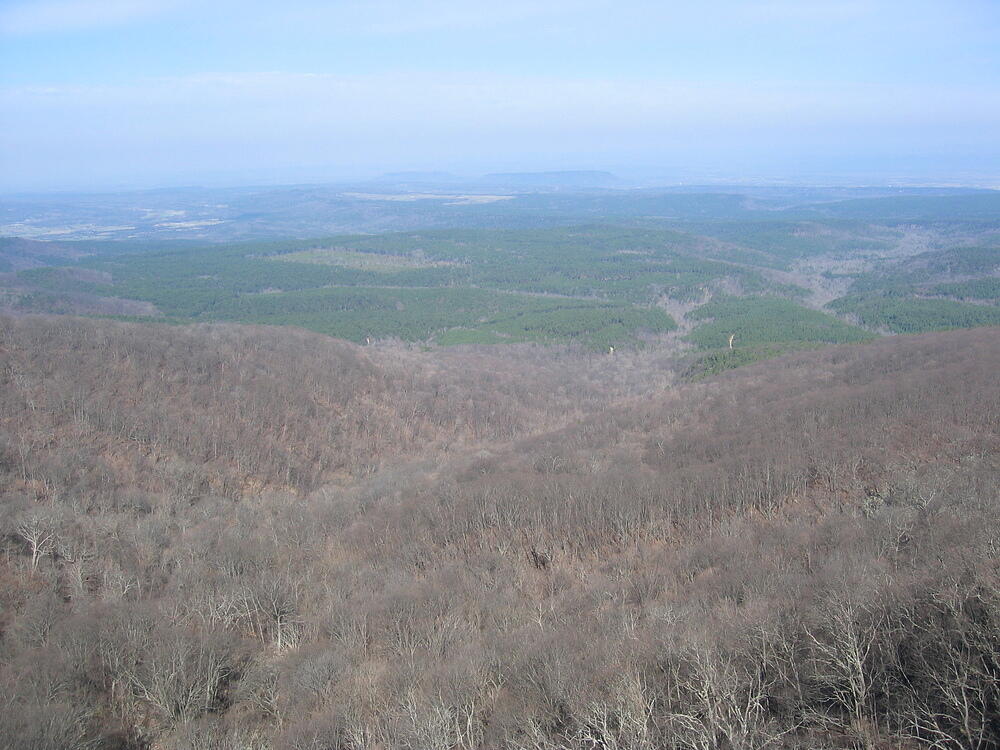 img_0013.jpg
