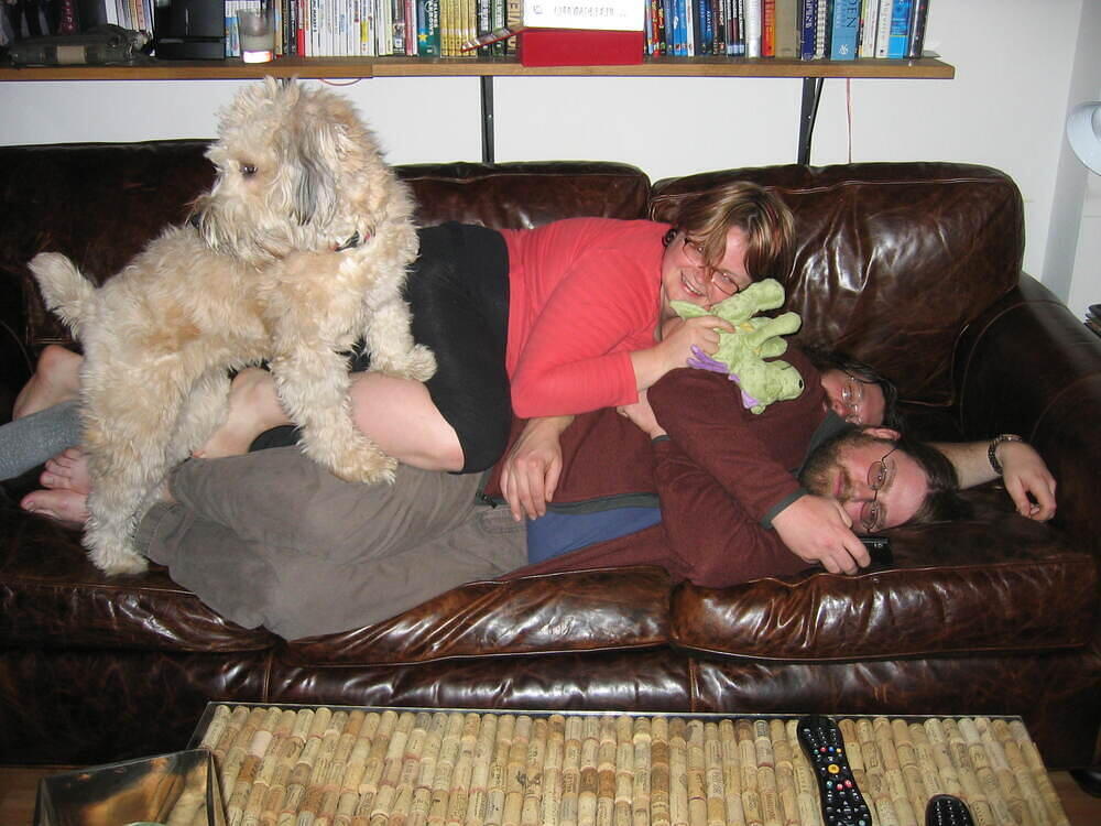 Dog Pile