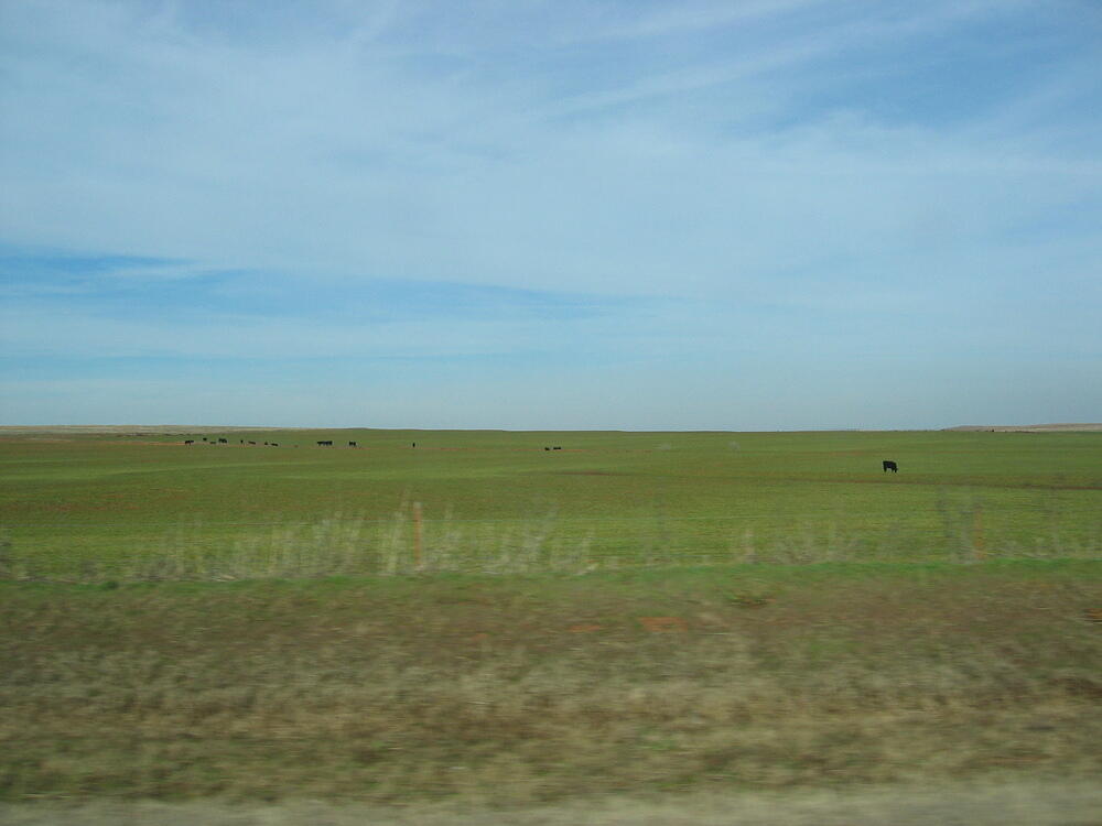 img_0021.jpg