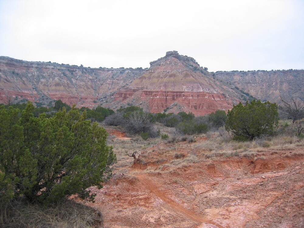 img_0100.jpg
