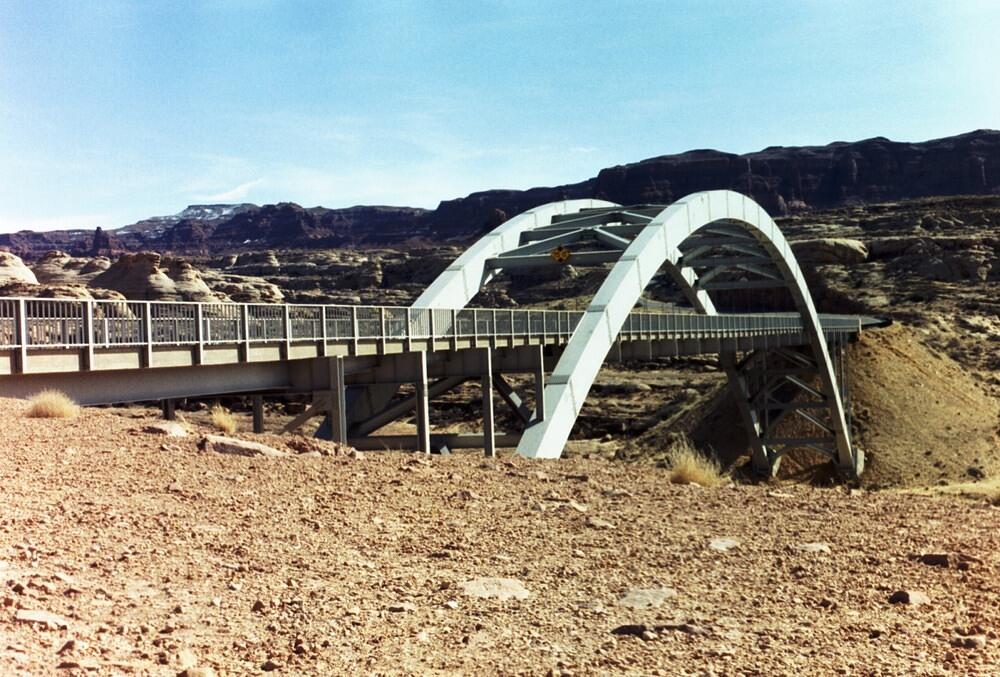 Picture_2.jpg