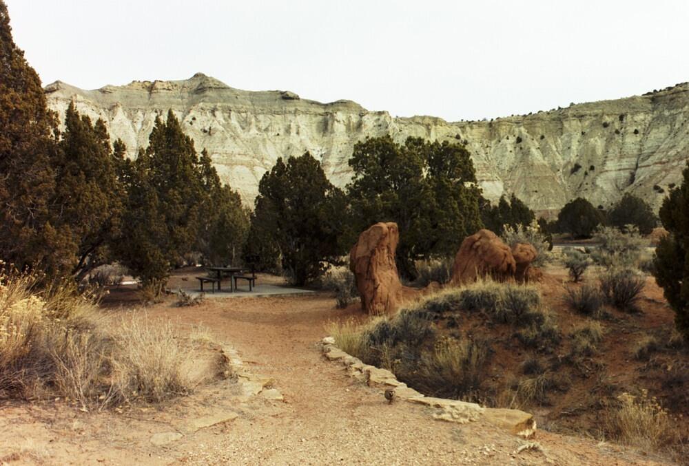 Picture_23.jpg