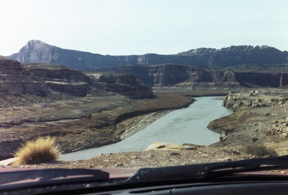 Picture_3.jpg