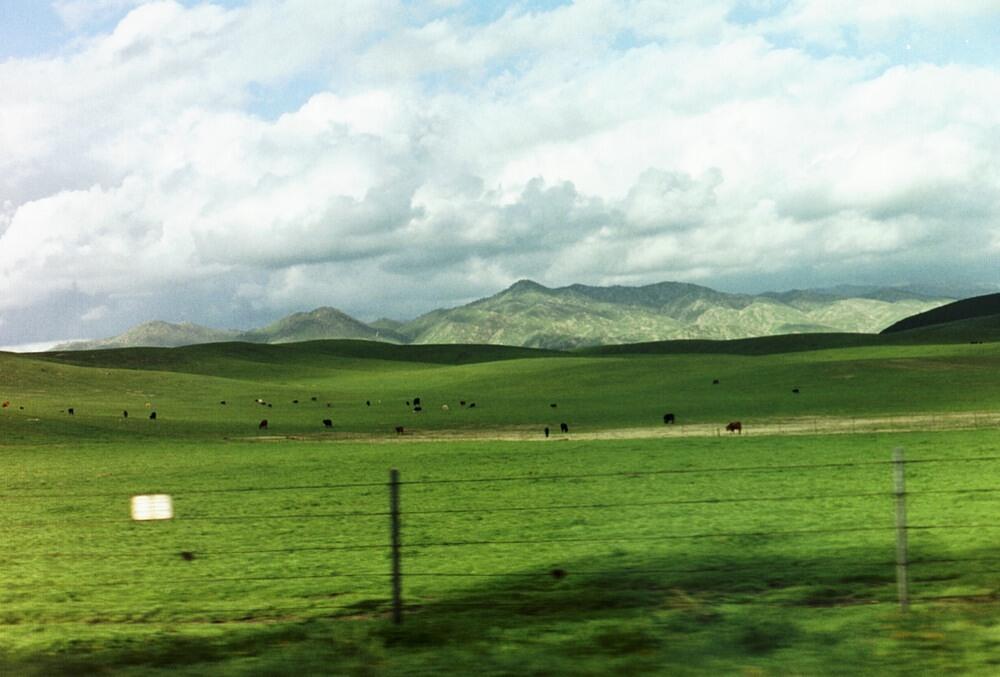 Picture_4.jpg