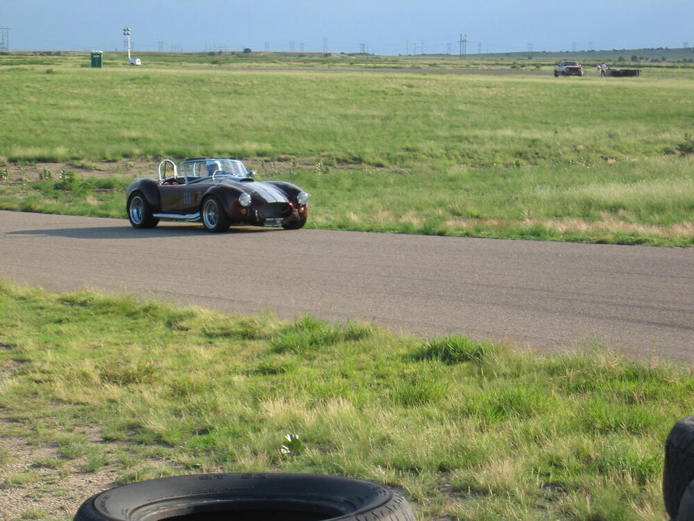 Fake Cobra