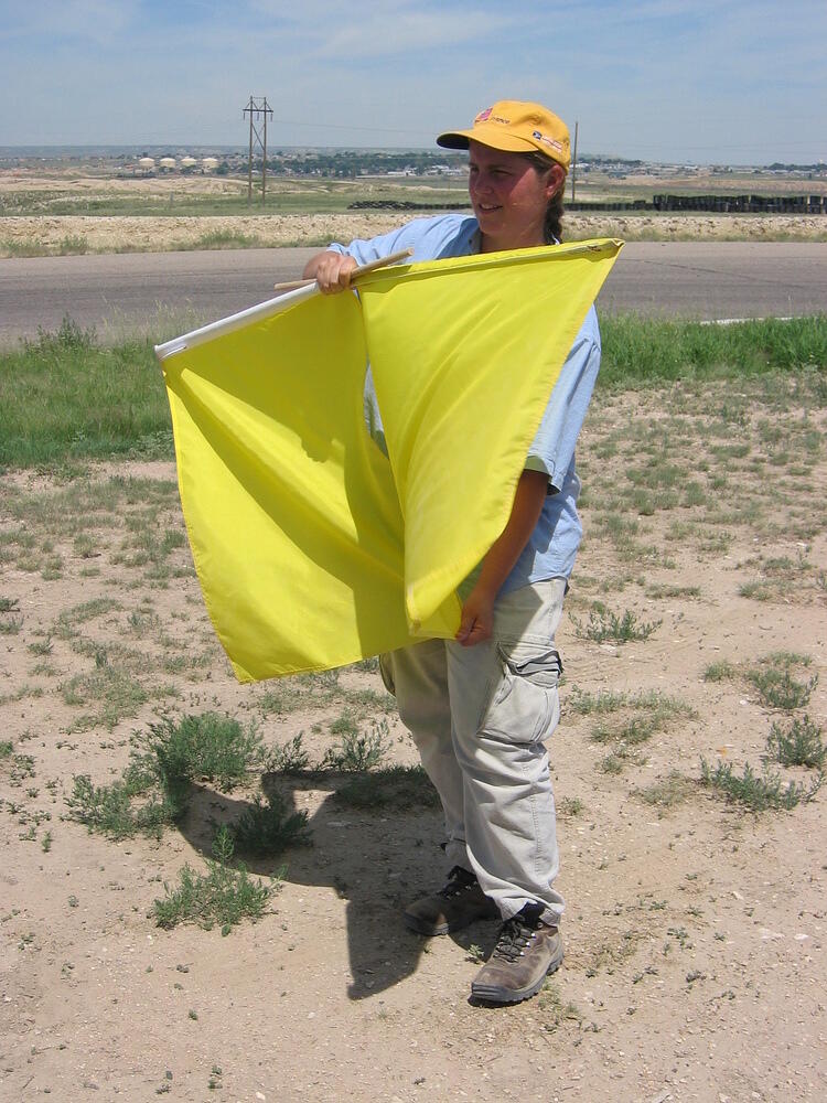 Double Yellow