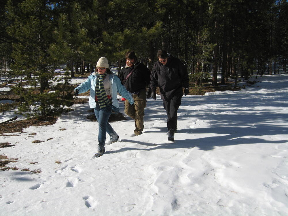 Trudging