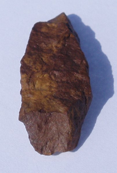 P1010191