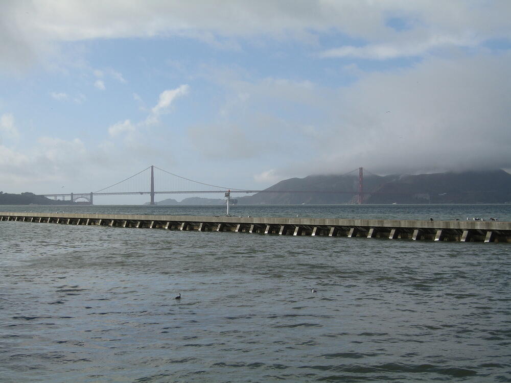 Bridge