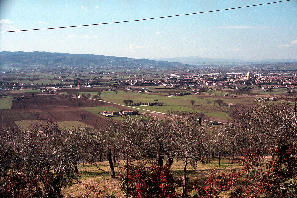 Scan80.jpg