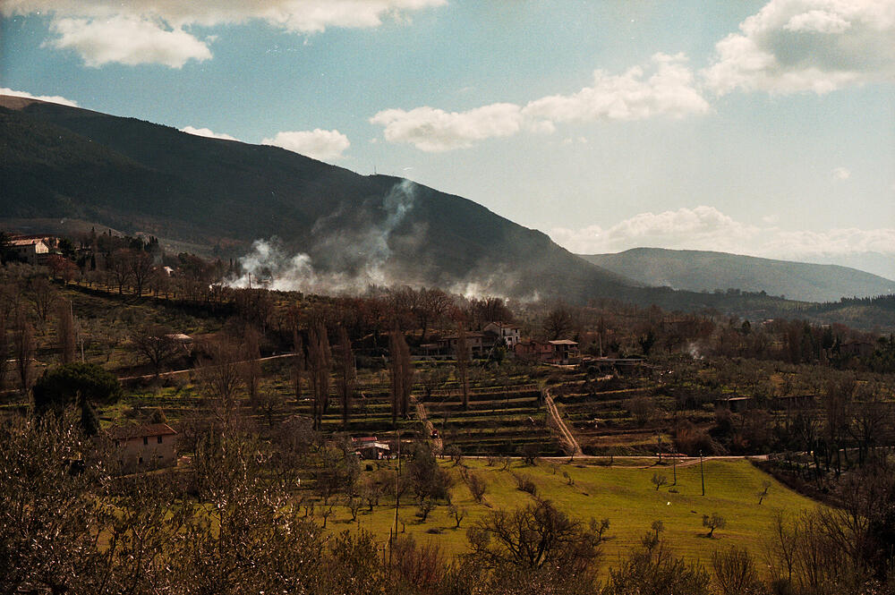 Scan81.jpg