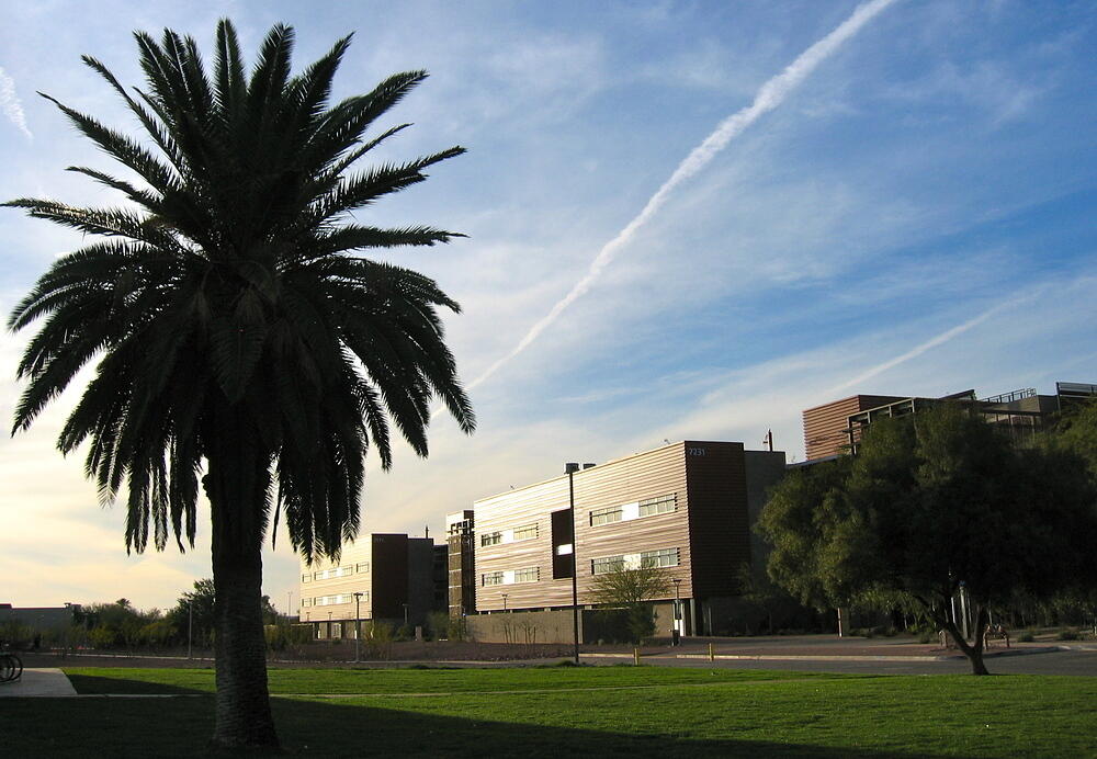 Palm