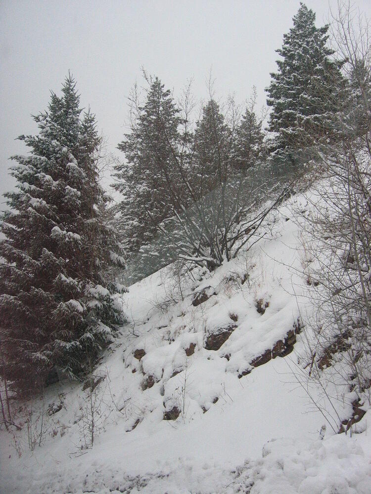img_0008.jpg