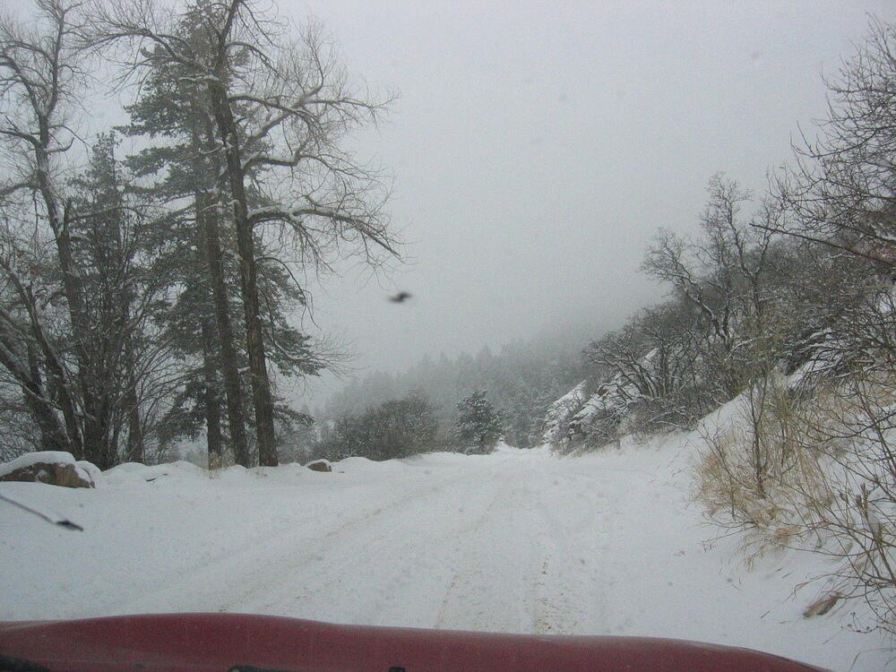 img_0019.jpg