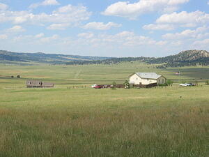 Grass Strip