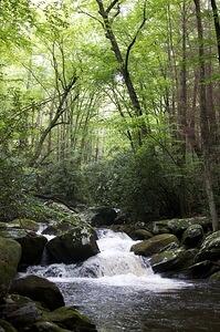 DSC 1981