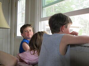 IMG 0733