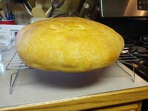 IMG 20120603 160519
