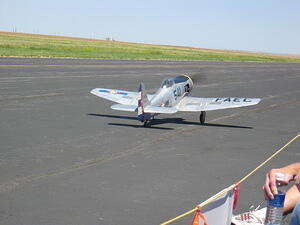 Miniature Mustang