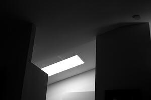 DSC 0517