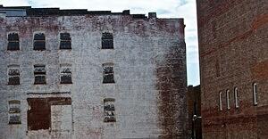 DSC 3957