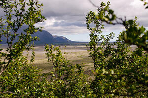 DSC 5480